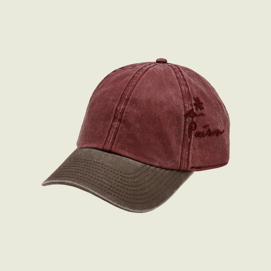OAS - Paises Cap
