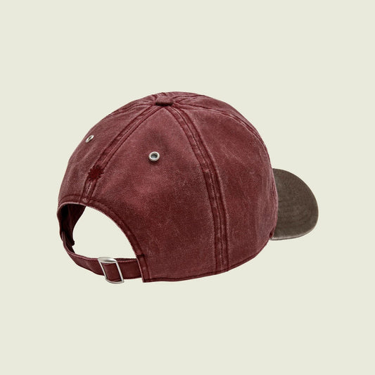 OAS - Paises Cap