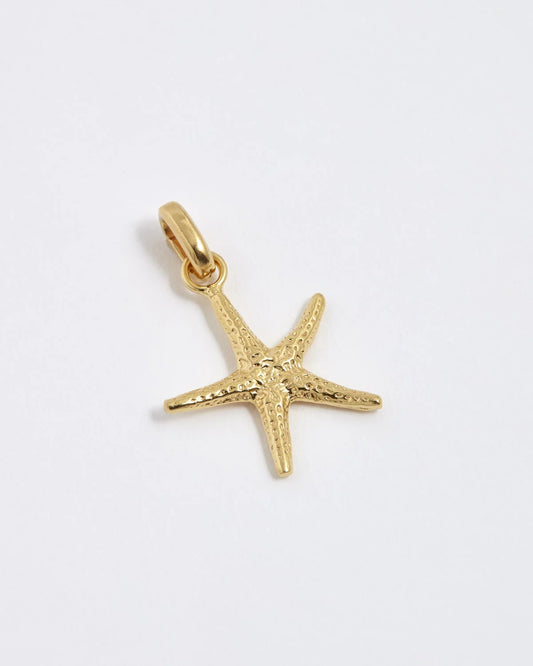 Starfish Charm